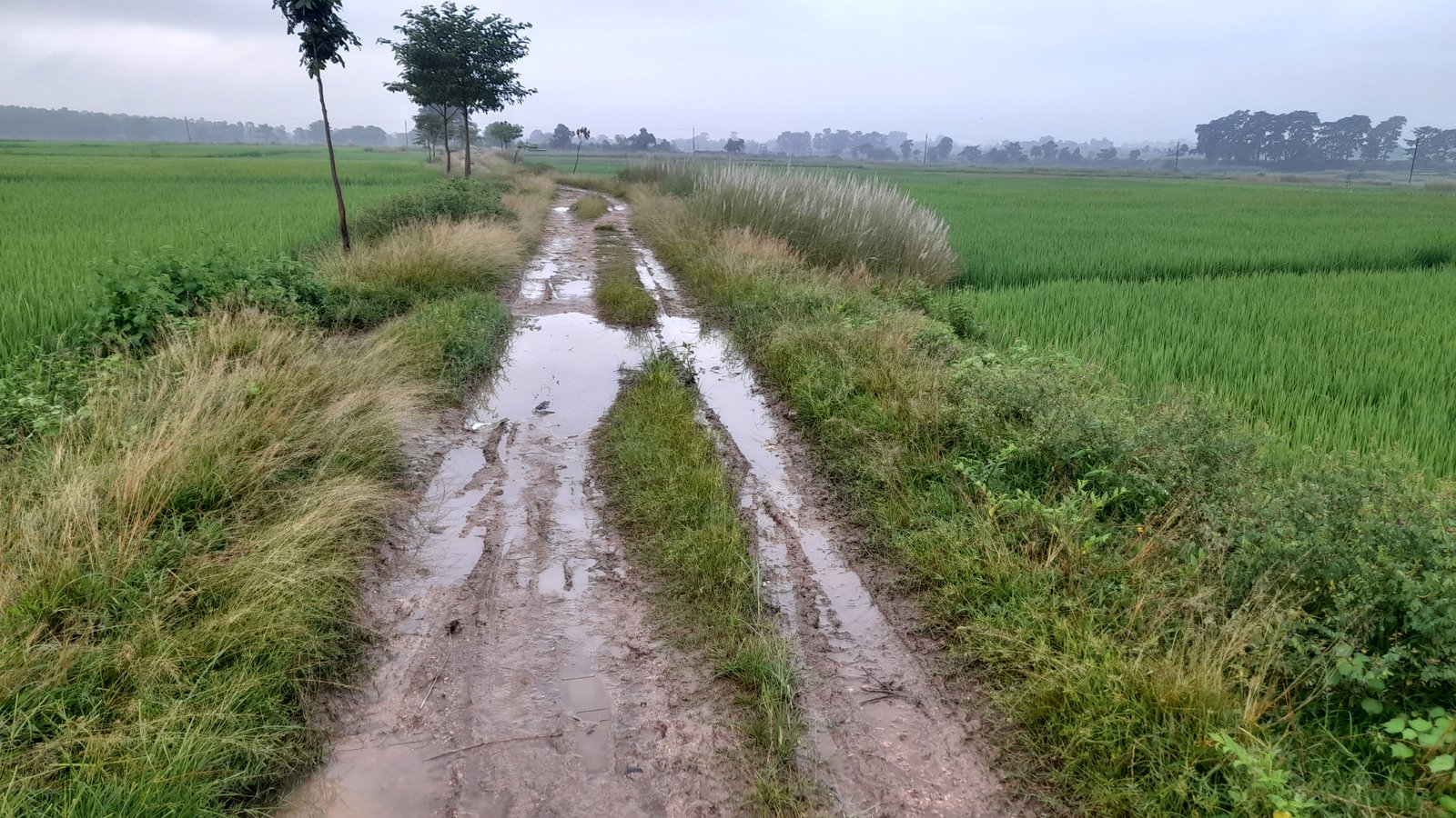 17-18 साल से जर्जर सड़क, ग्रामीणों की बढ़ी परेशानी