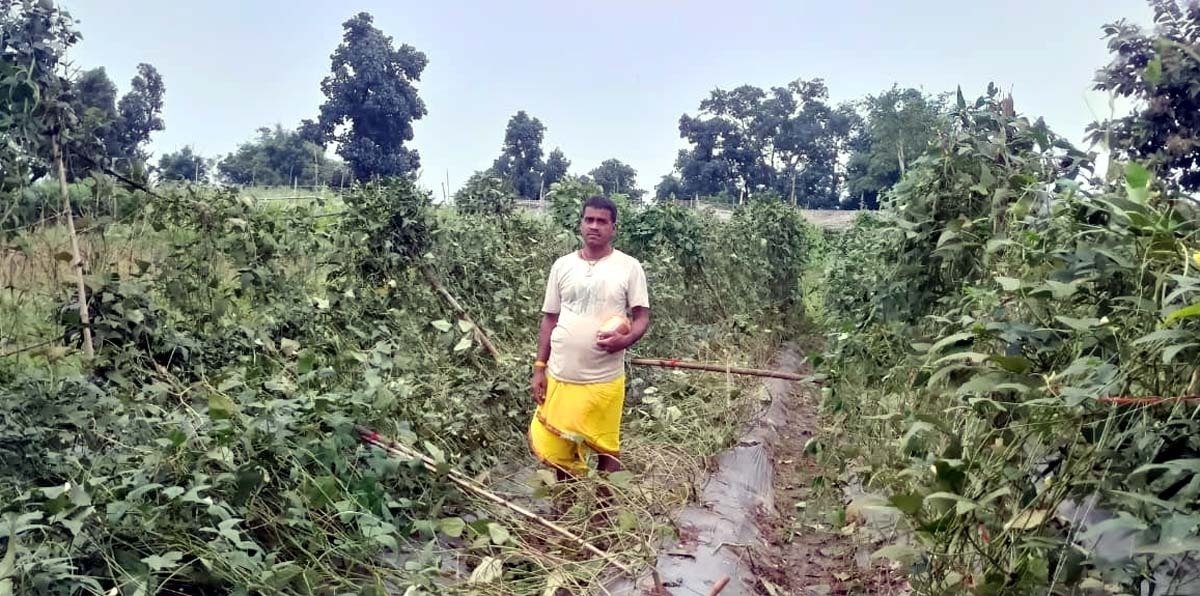 आंधी-तूफान का कहर: गोला में सब्जी फसलें तबाह, मचान गिरे, किसानों ने की तत्काल मुआवजे की मांग