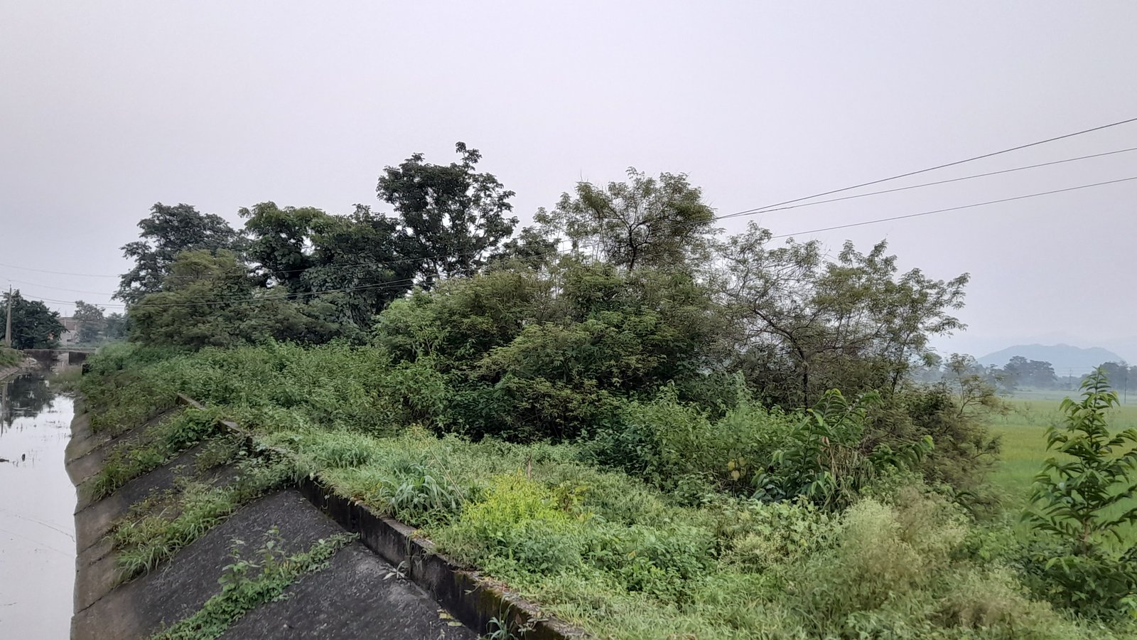 तमाड़ रायडीह में मौतबनकरलटक रहा 11000 वोल्ट का तार, 2 महीने से शिकायत के बाद भी नींद में बिजली विभाग