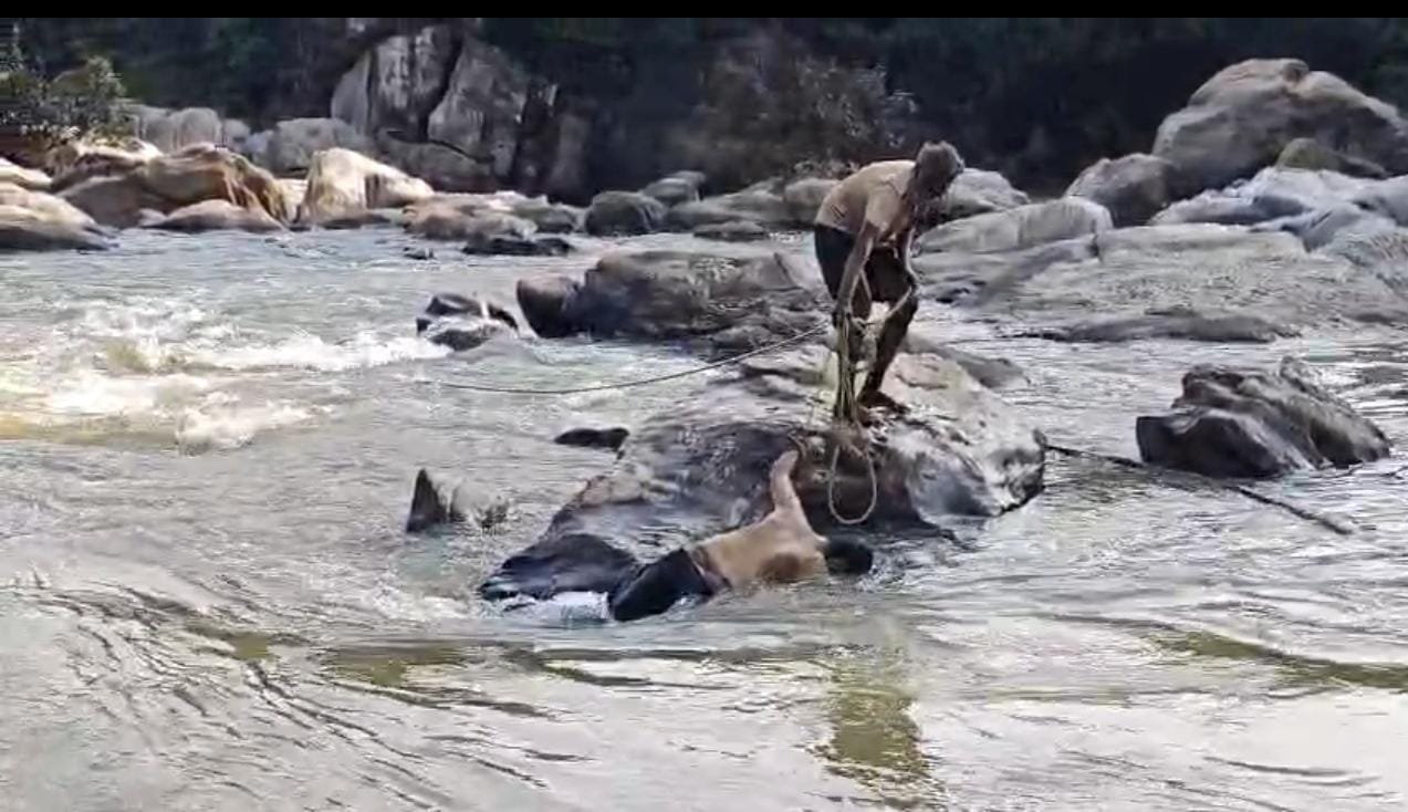बुंडू के प्रसिद्ध दशम फॉल में एक दर्दनाक हादसा हो गया।*