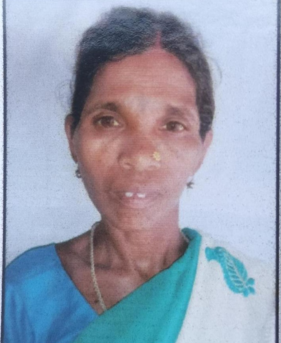 दो दिन में जंगली हाथी ने दो महिलाओं की ले ली जान