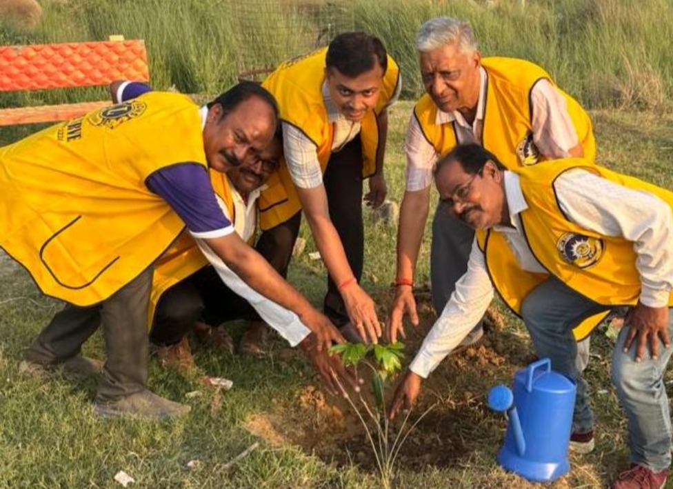 पौधा पृथ्वी का श्रृंगार है और सबके जीवन का आधार भी - डीएफओ